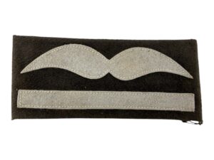 Luftwaffe rank insignia for the air protection suit (4)