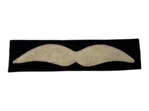 Luftwaffe rank insignia for the air protection suit (2)