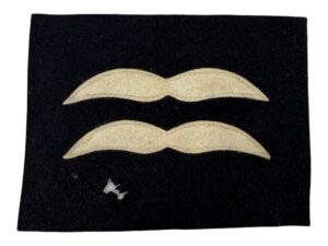 Luftwaffe rank insignia for the air protection suit